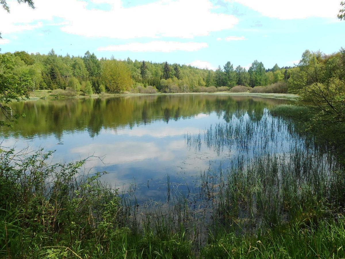 Ubytovani U Kostela Ústí nad Labem Eksteriør bilde